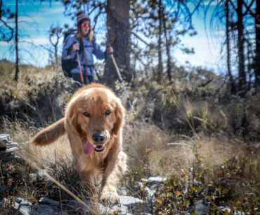 hiking con tu compañero de aventuras