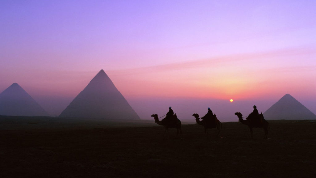 visa para Egipto, camellos