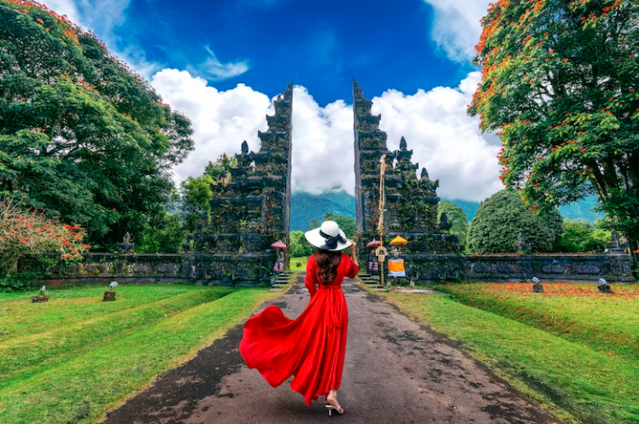 ¿Qué se necesita para ir a Bali?