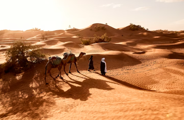 ¿Cuál es la mejor época para viajar a Marruecos?